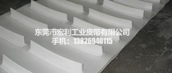 PU白色食品输送带