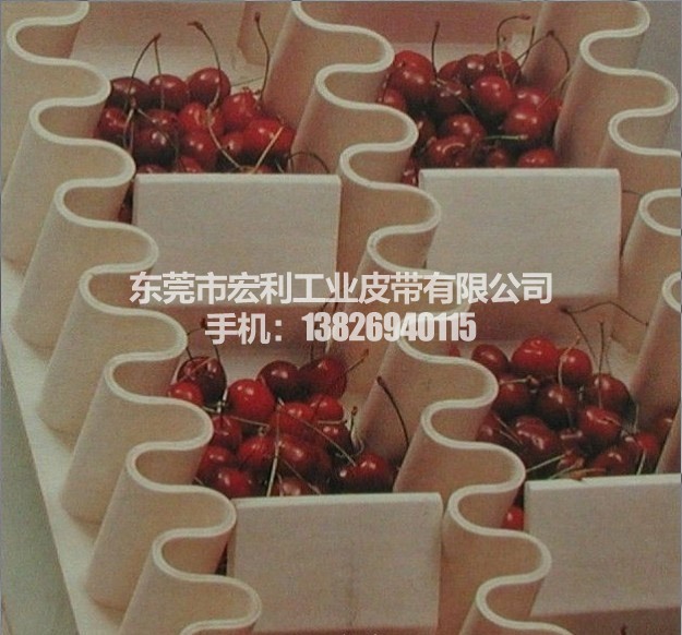 供应阪东Bando非标定做 输送带