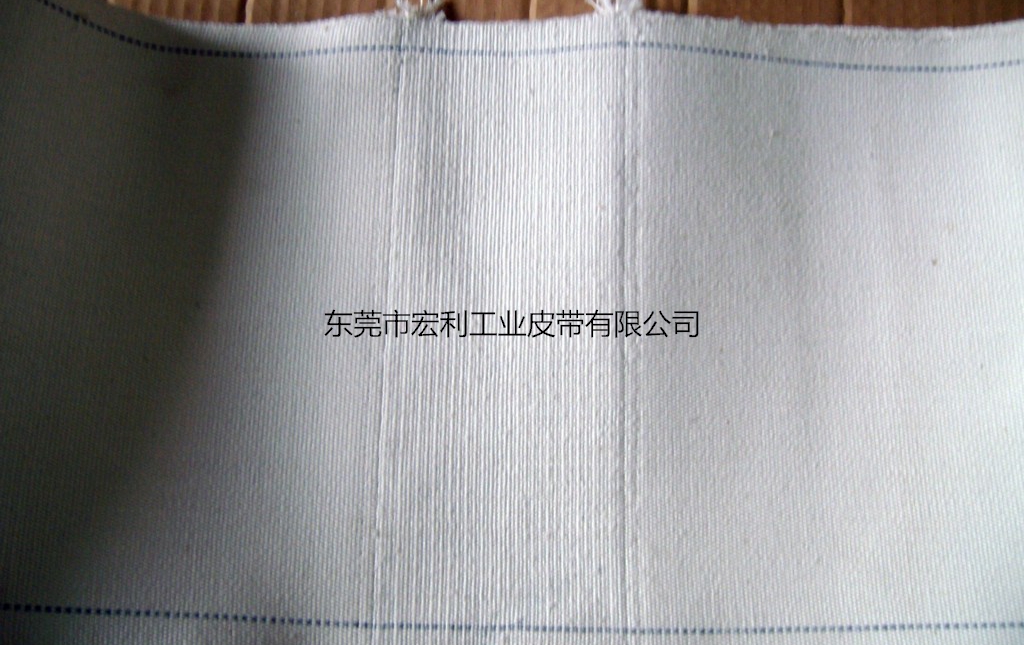 纯帆布输送带