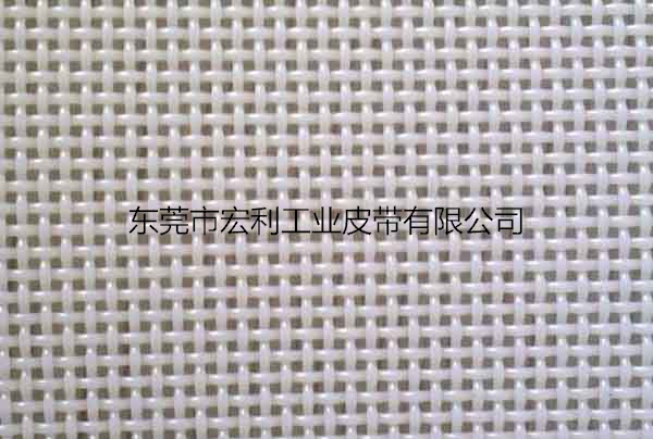 06702方孔聚酯网带
