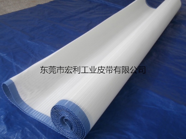 尼龙聚酯网带