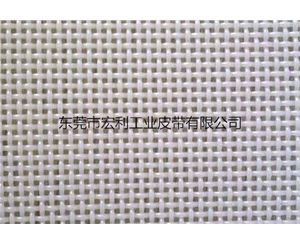 06702方孔聚酯网带